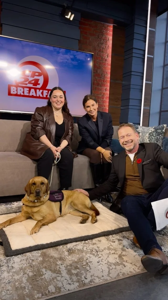 Proud Penny showed off her pearly whites this morning on @cp24breakfast while trying not to steal the show from @billcoulterto 

Penny was joined by her handler, Stephanie, and @vstoronto Executive Director, @carlykalish to talk about the impact and immeasurable support Penny provides as Victims Services Toronto’s only Trauma Therapy Dog.
Penny does amazing work but she’d like some friends to help her fill the need and wanted to share how you can help fund more Pennys.

You can get more information at: www.victimservicestoronto.com

@raniaspeaksofficial @michaela_hutchison @c_mccourt @chantalkneves @moralesonair 

#traumatherapydog #victimservicestoronto