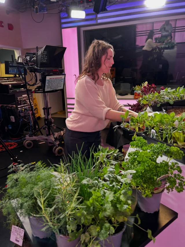 Happy National Gardening Day! We were up bright and early this morning with our friends at @cp24breakfast for some flowery fun with horticulturalist Kris Morettie of Terra Greenhouses. Thanks to our good friend @billcoulterto for getting his hands dirty in learning, some of Kris’s best tips for getting your gardens in bloom this spring 🌷🌺🌻
Tune into CP24 throughout the day or go online to watch her three fantastic segments.
@terraathome @c_mccourt
#nationalgardeningday #springgardening #springgardening #springstyle